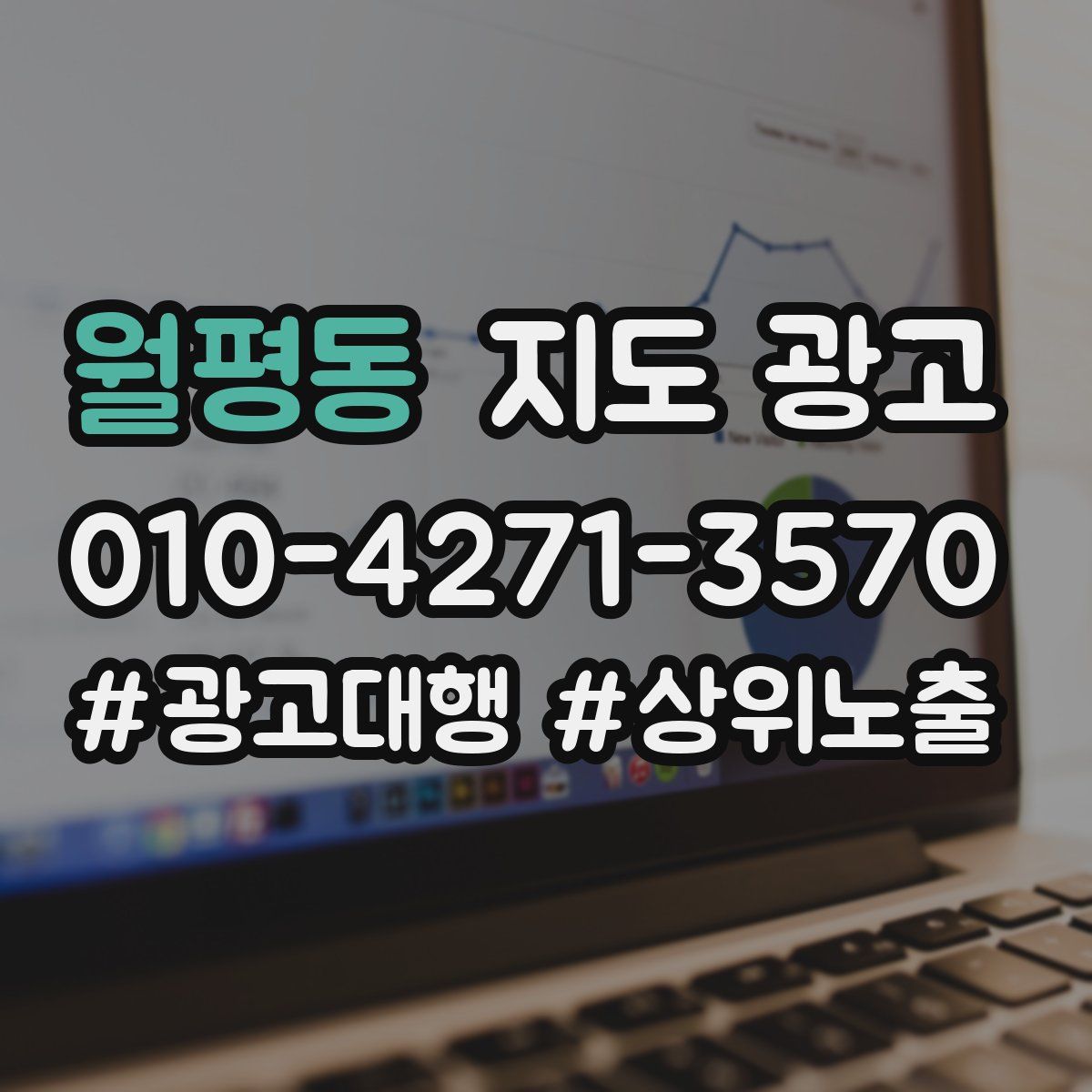 월평동 지도 광고