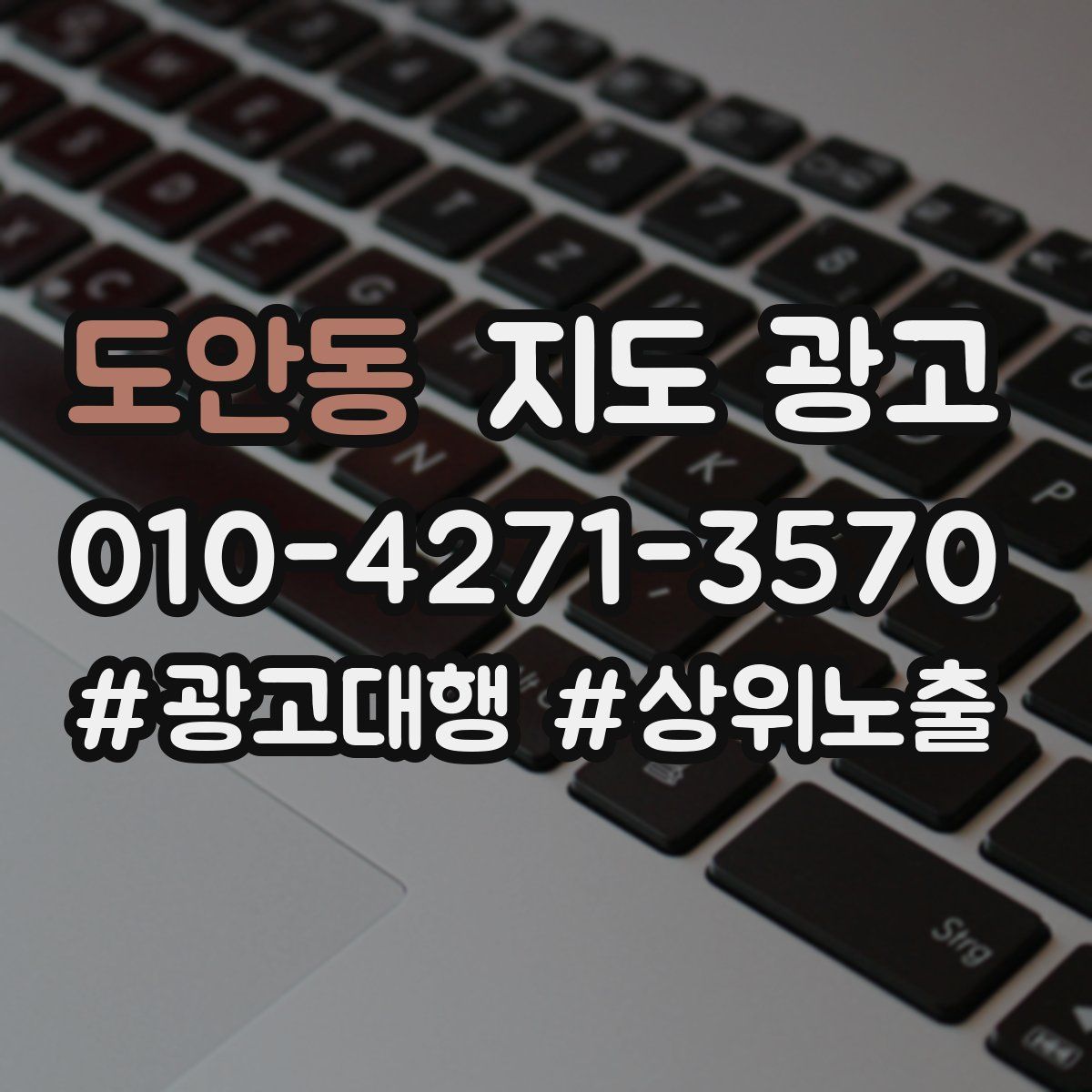 도안동 지도 광고