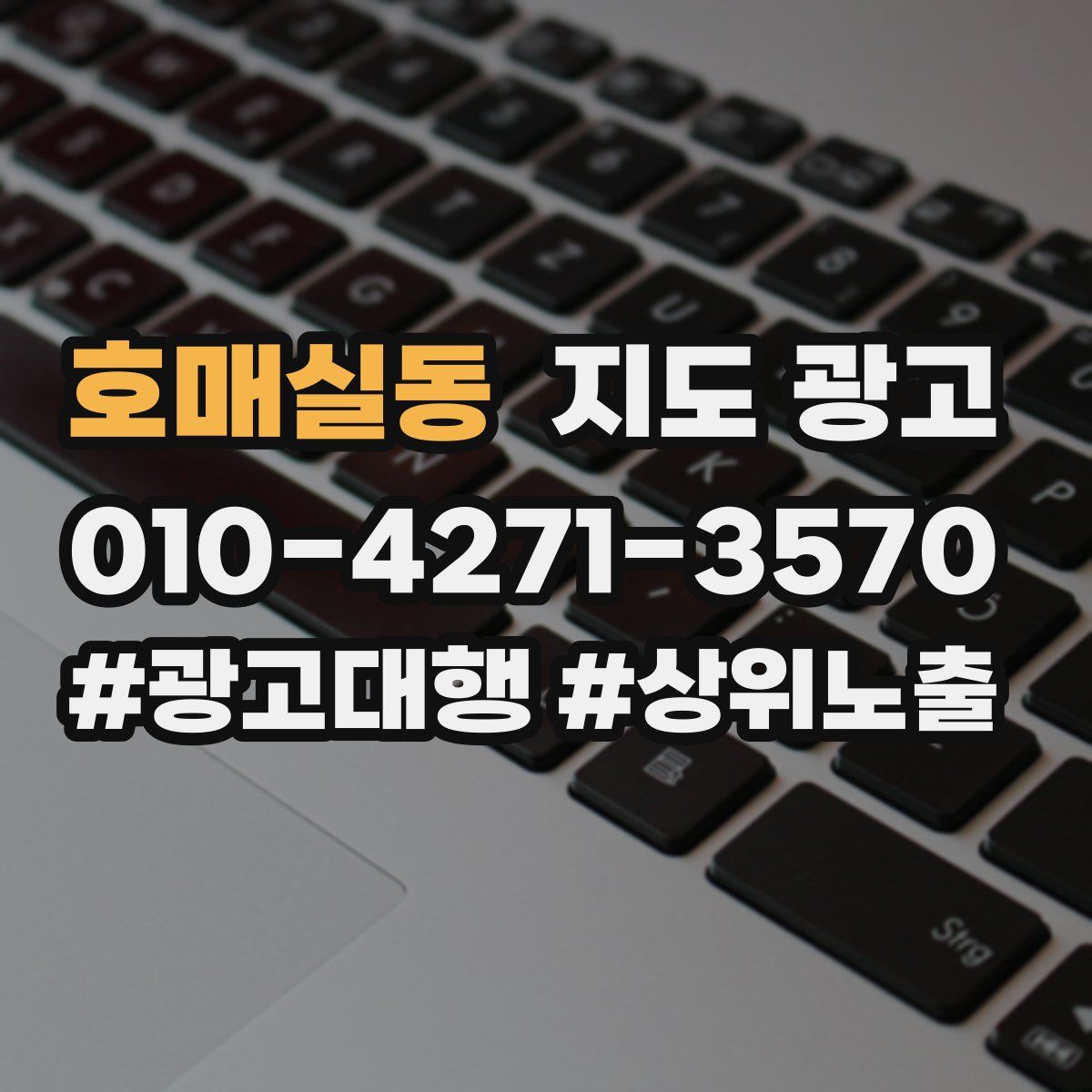 호매실동 지도 광고