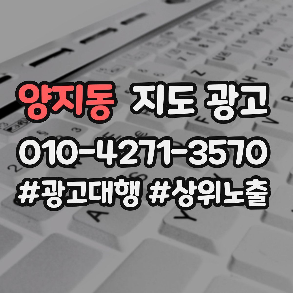 양지동 지도 광고
