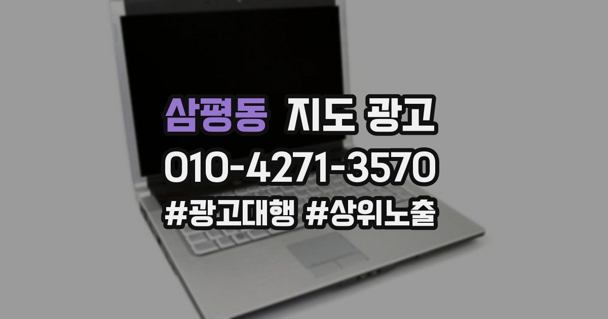 삼평동 지도 광고