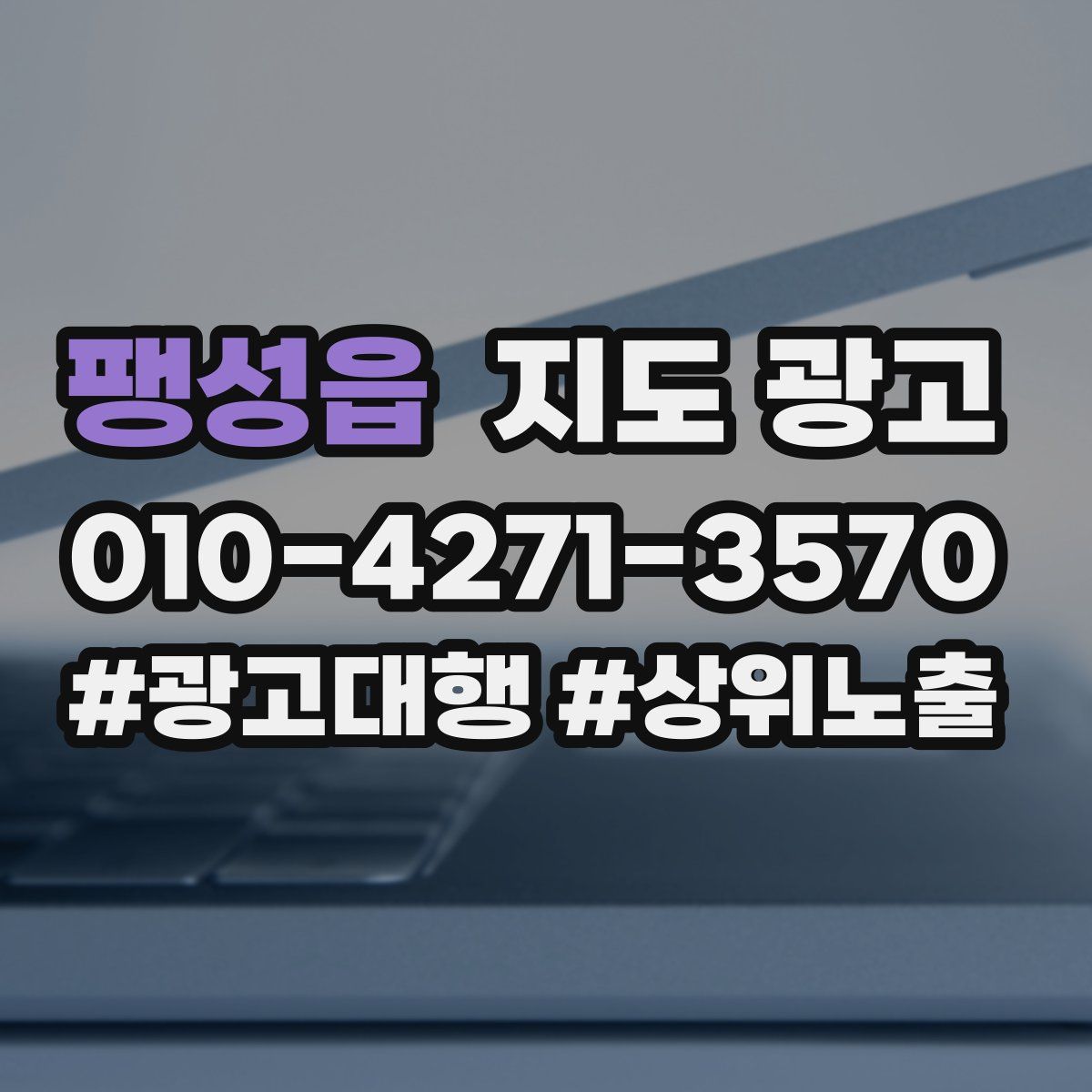 팽성읍 지도 광고