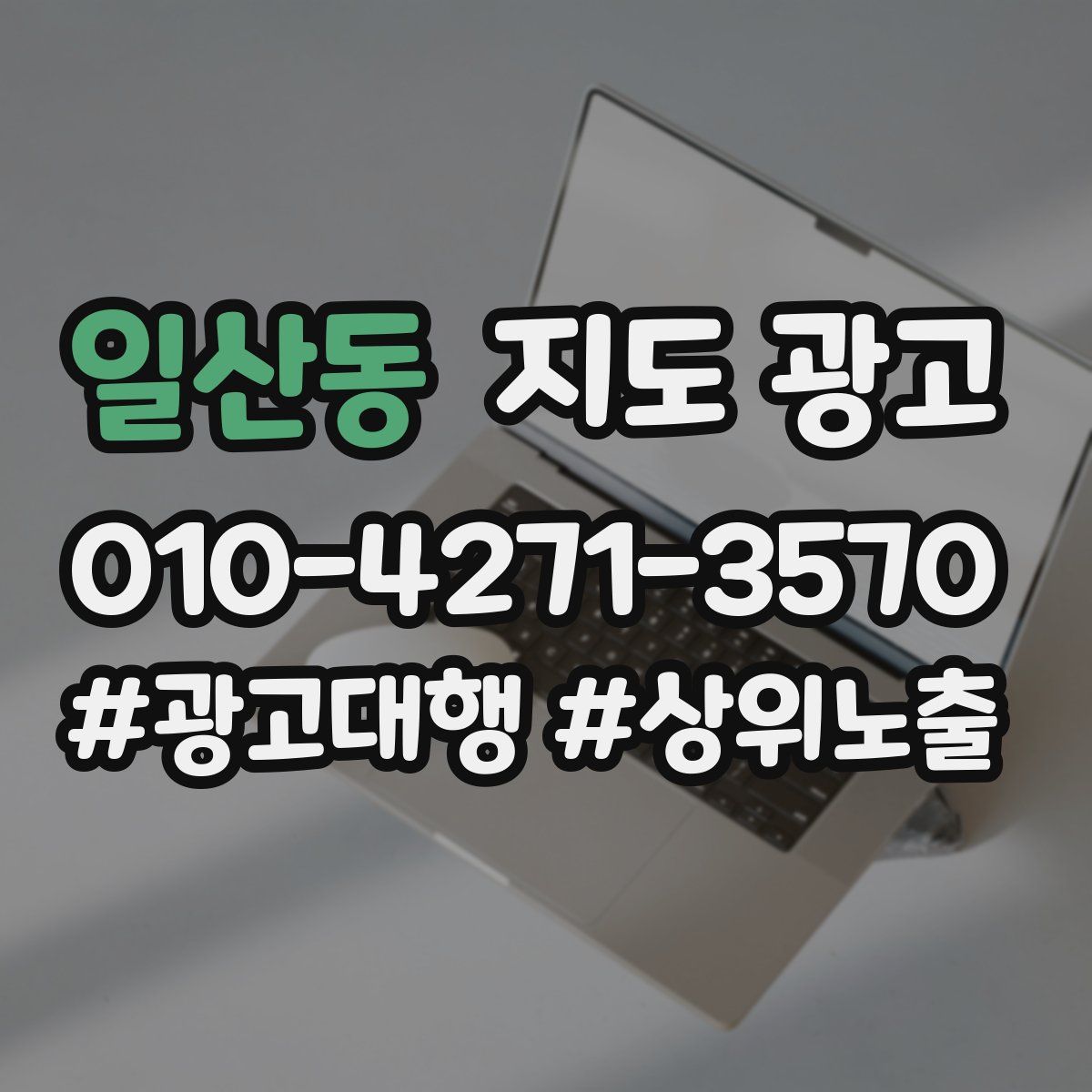 일산동 지도 광고