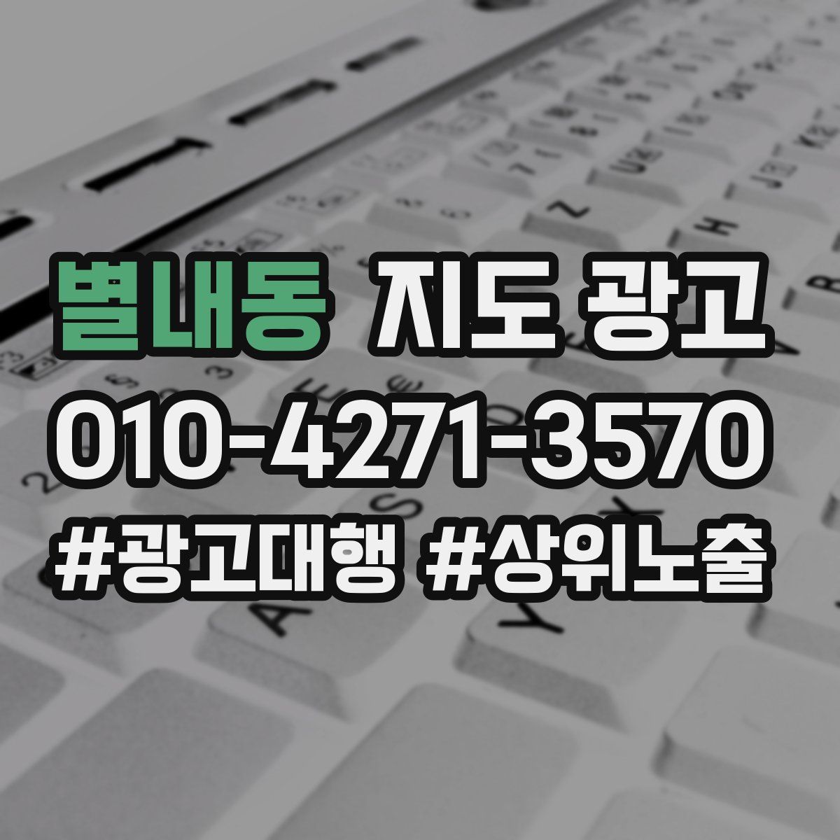 별내동 지도 광고