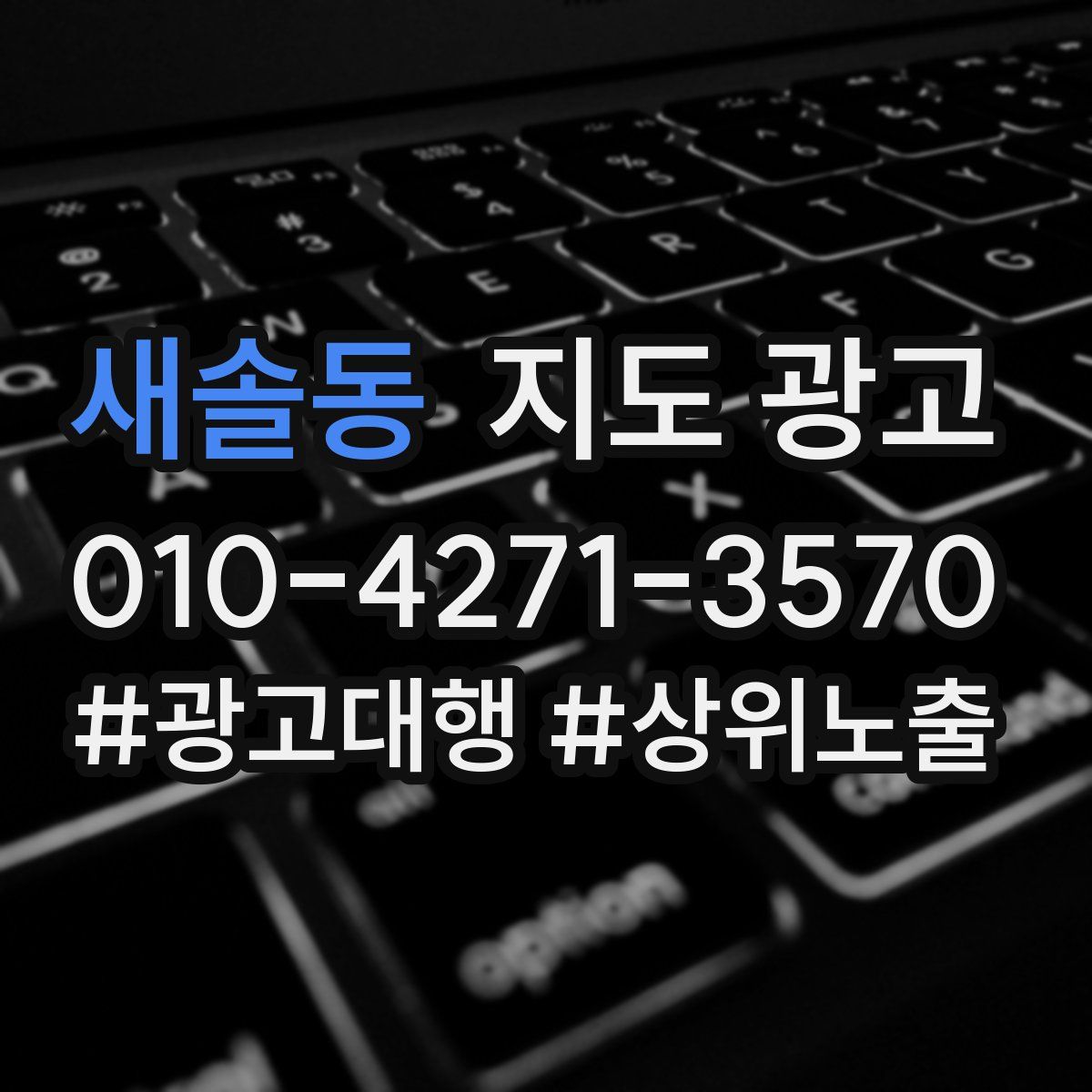 새솔동 지도 광고