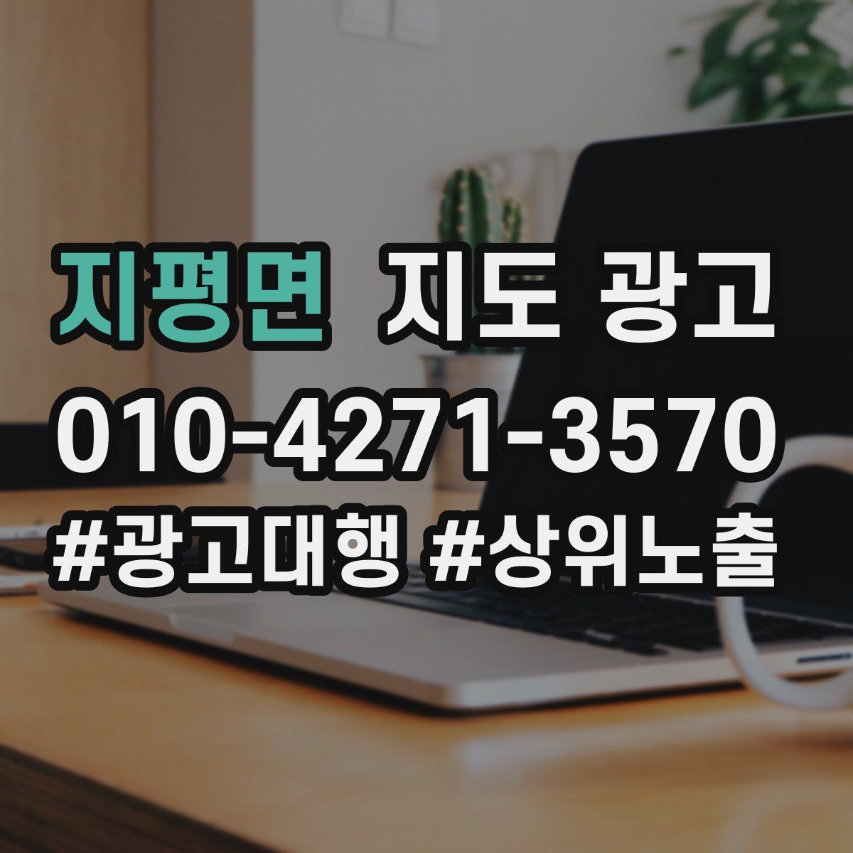 지평면 지도 광고