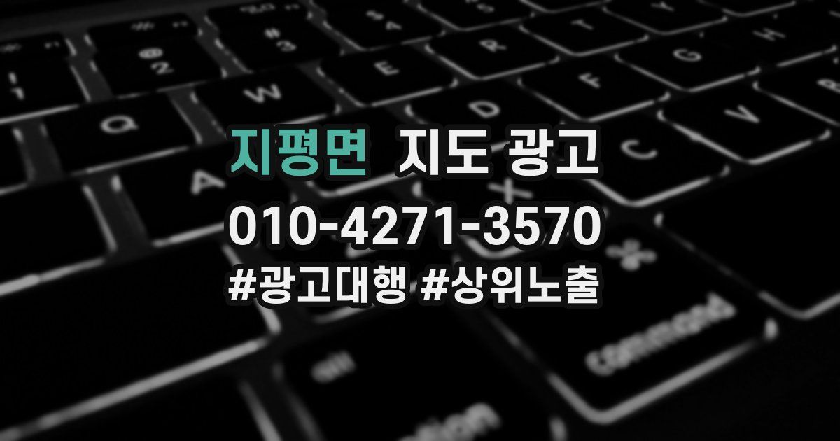 지평면 지도 광고