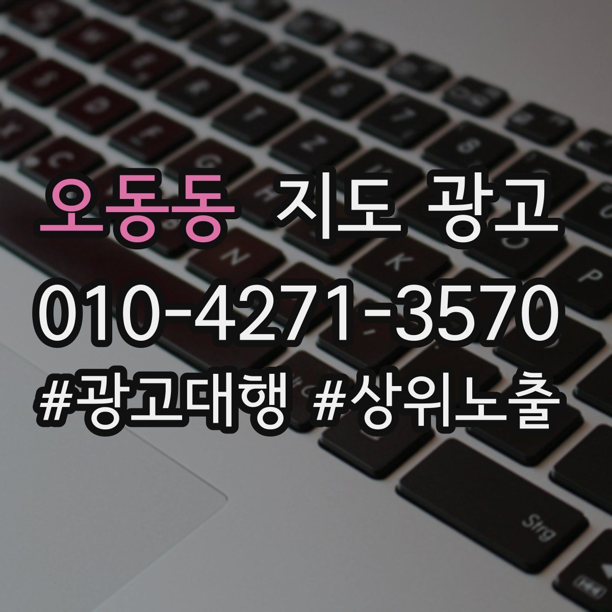 오동동 지도 광고