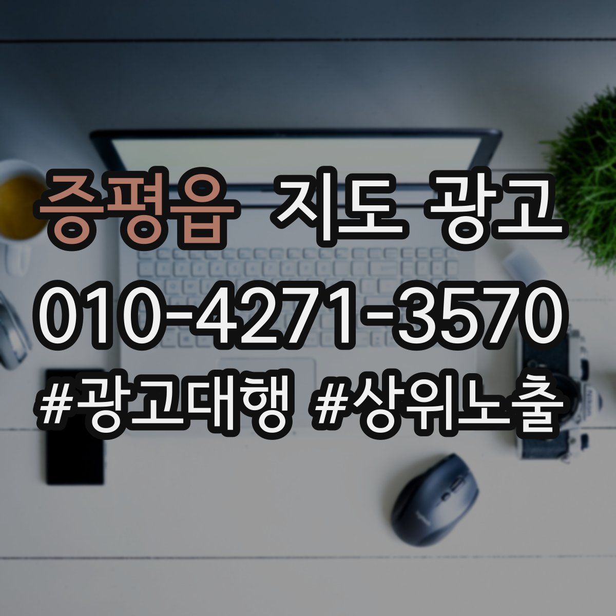 증평읍 지도 광고