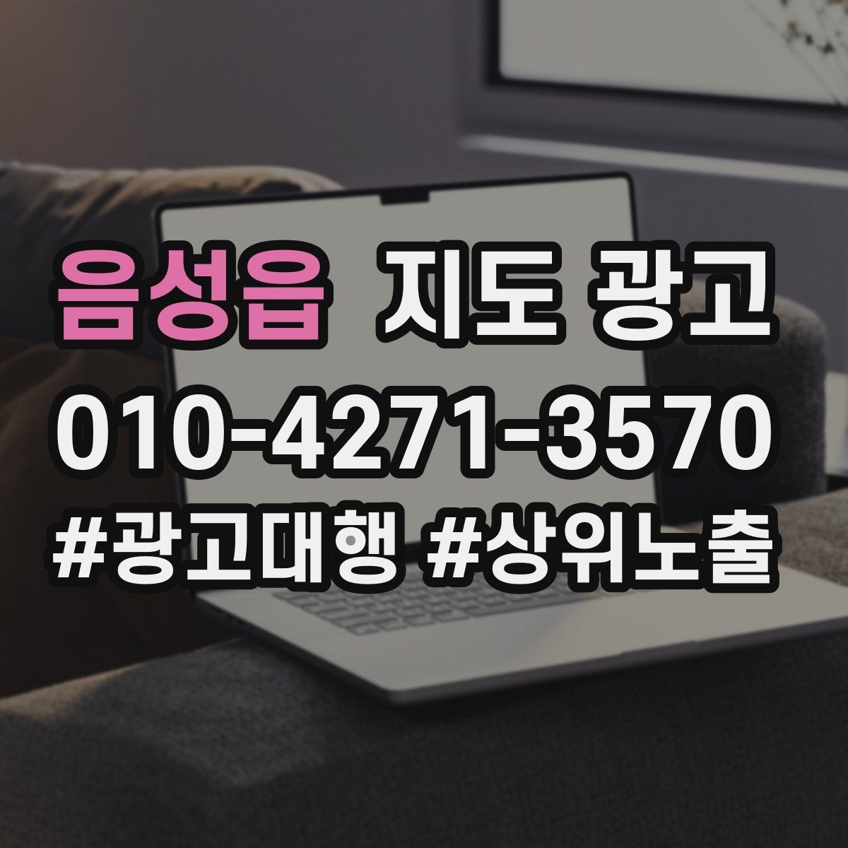 음성읍 지도 광고