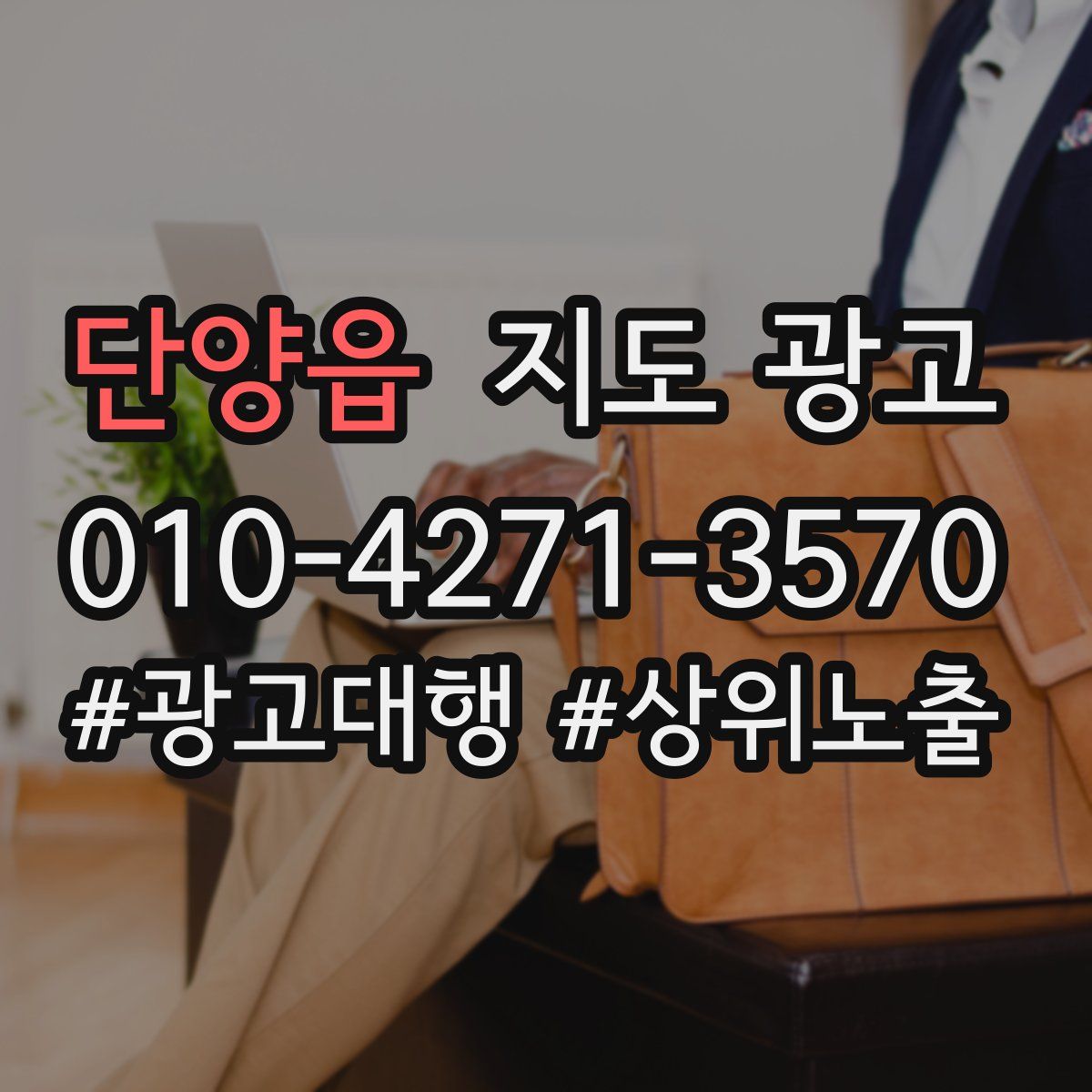 단양읍 지도 광고