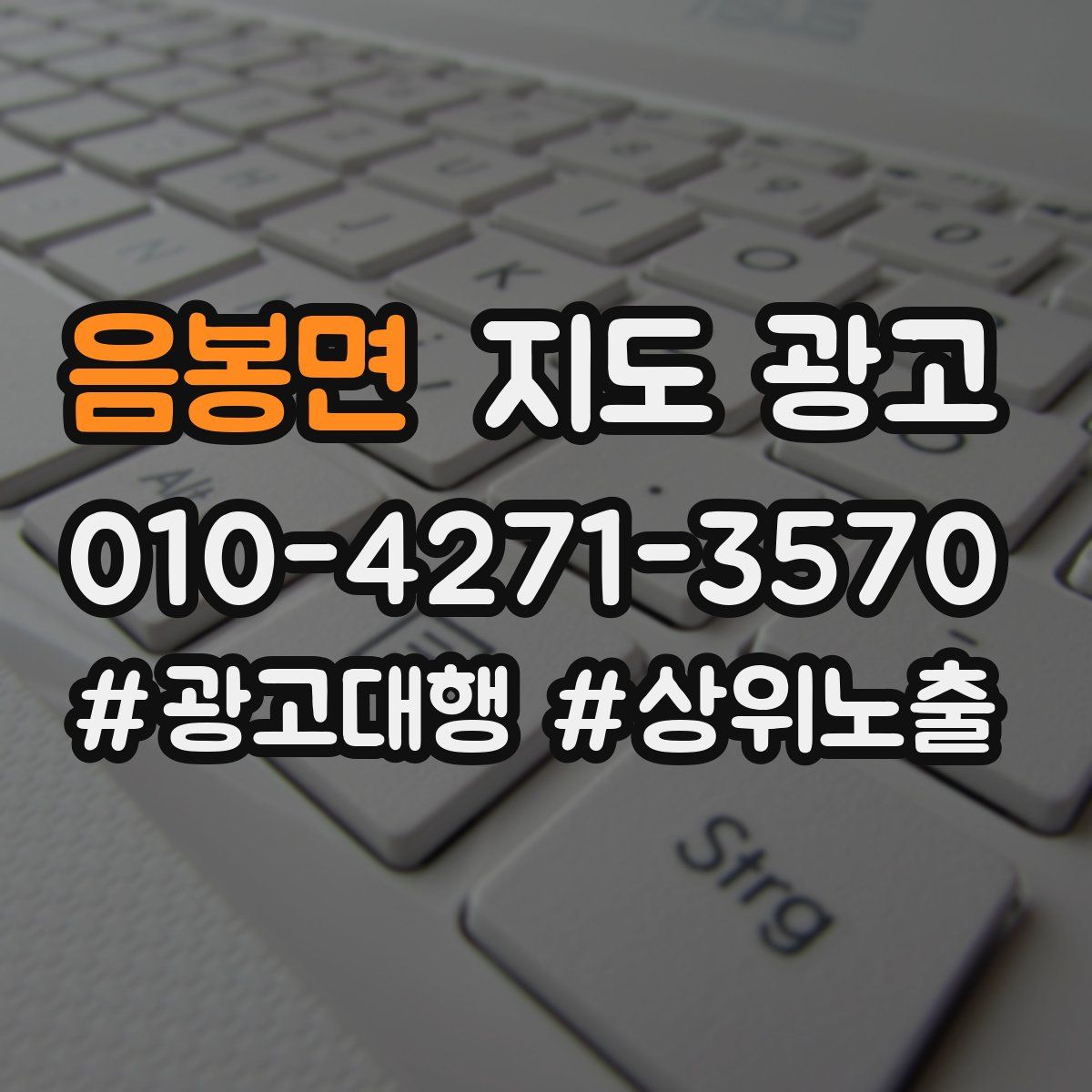 음봉면 지도 광고