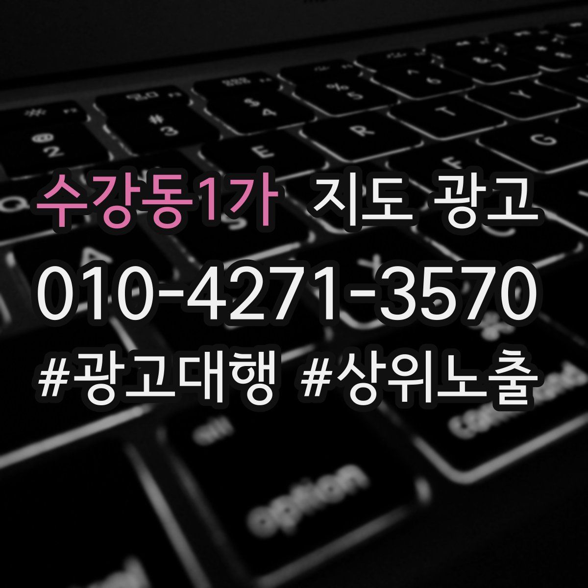 수강동1가 지도 광고