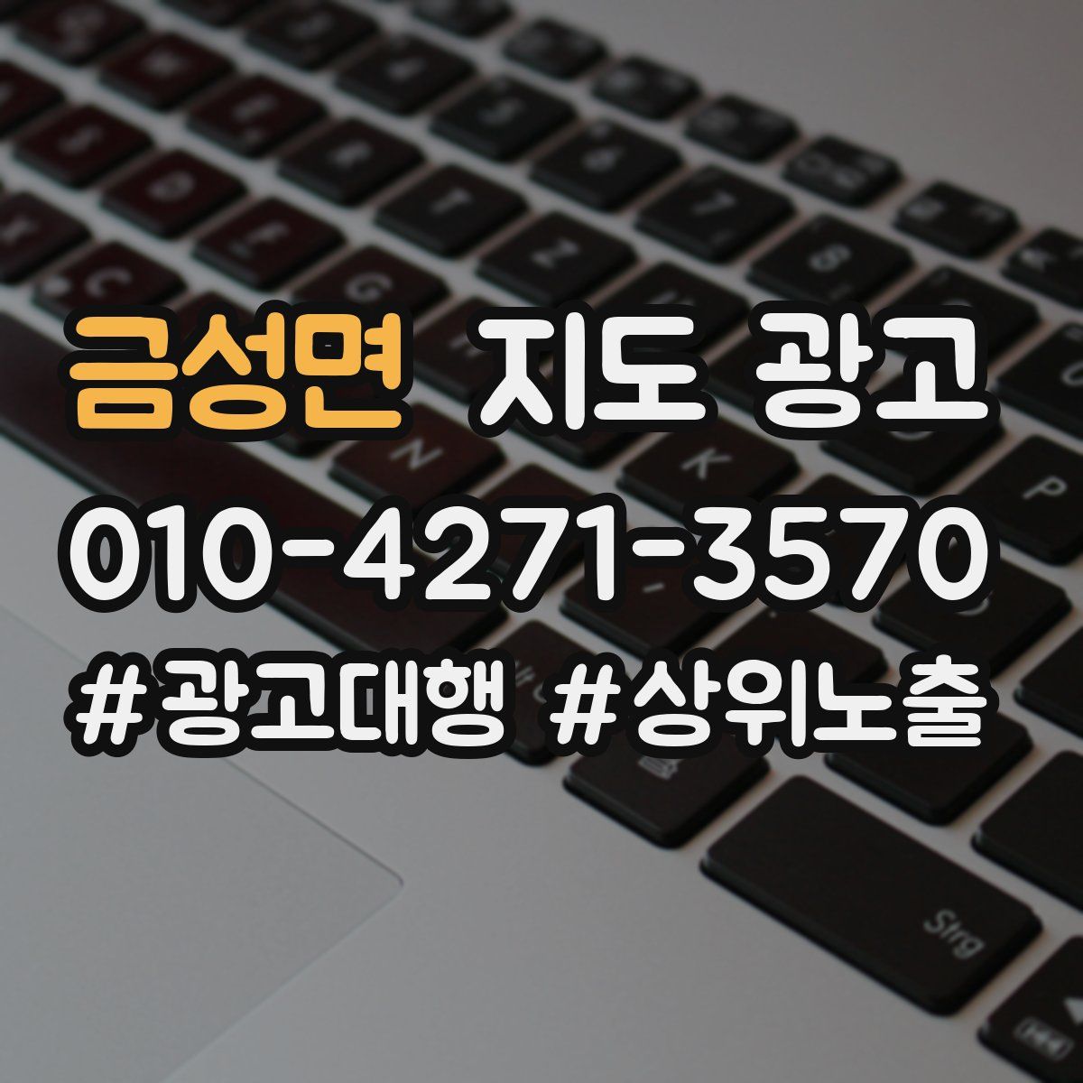 금성면 지도 광고