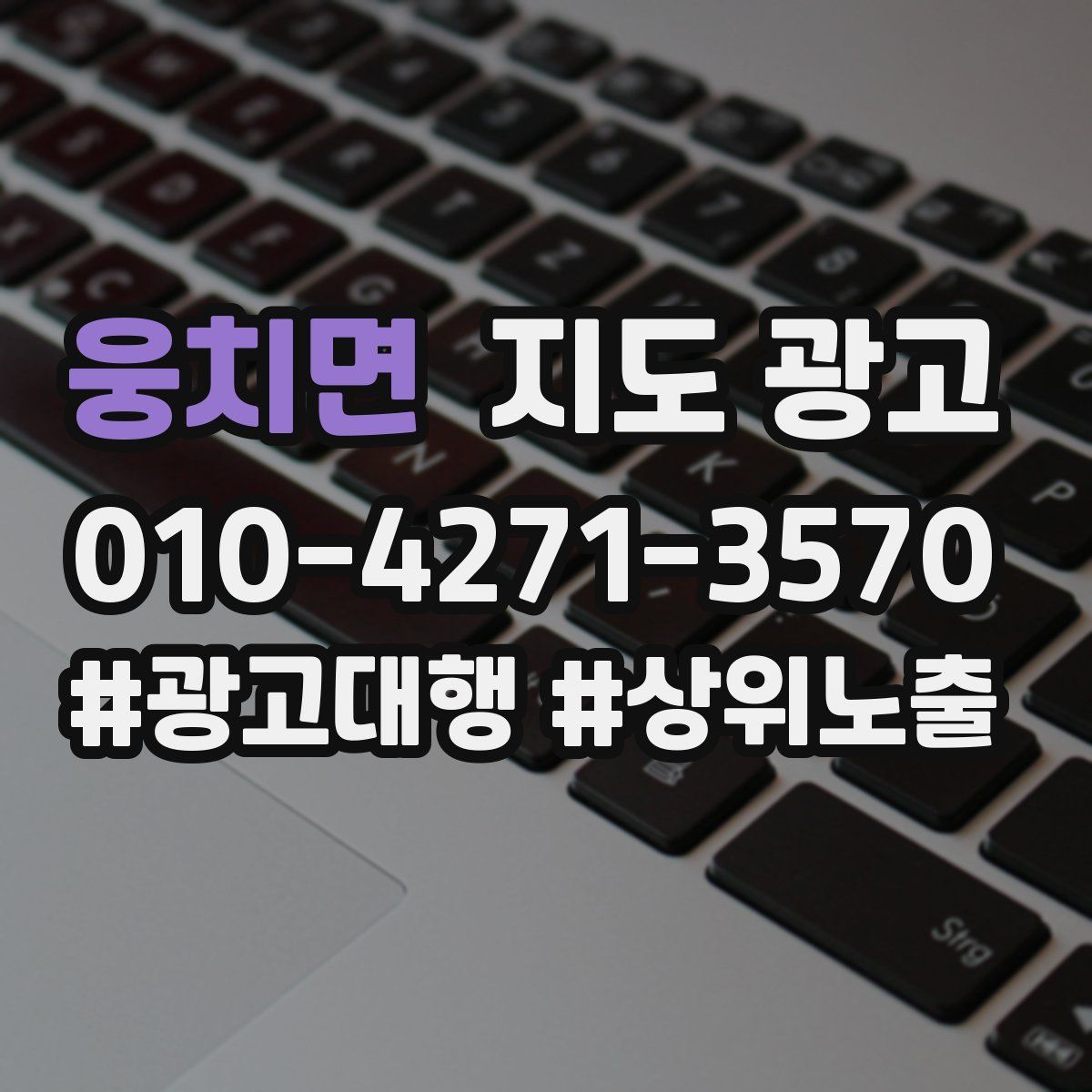 웅치면 지도 광고