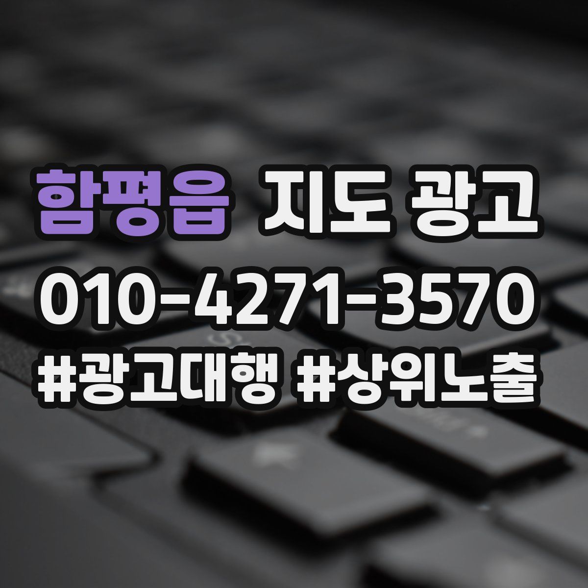 함평읍 지도 광고