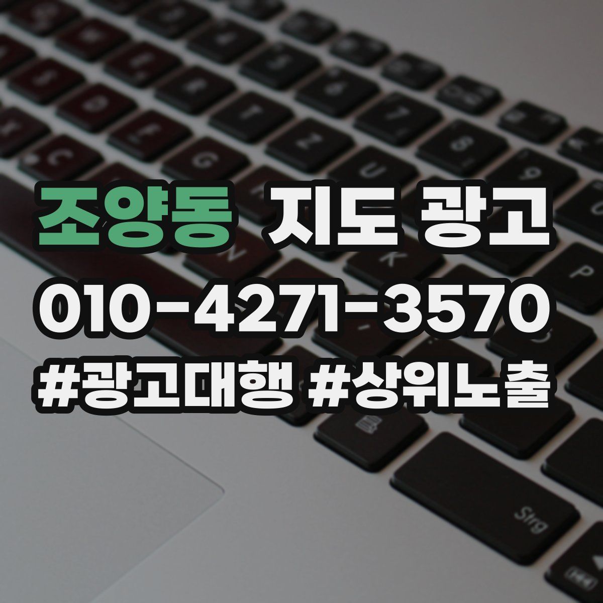 조양동 지도 광고