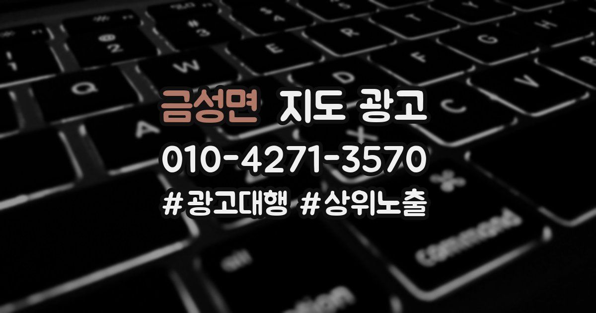 금성면 지도 광고