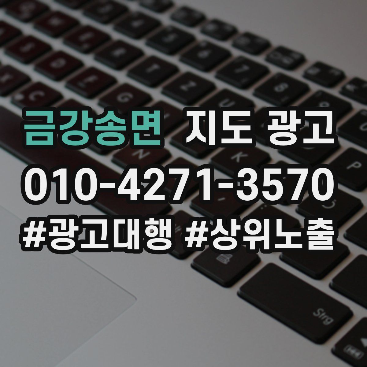 금강송면 지도 광고