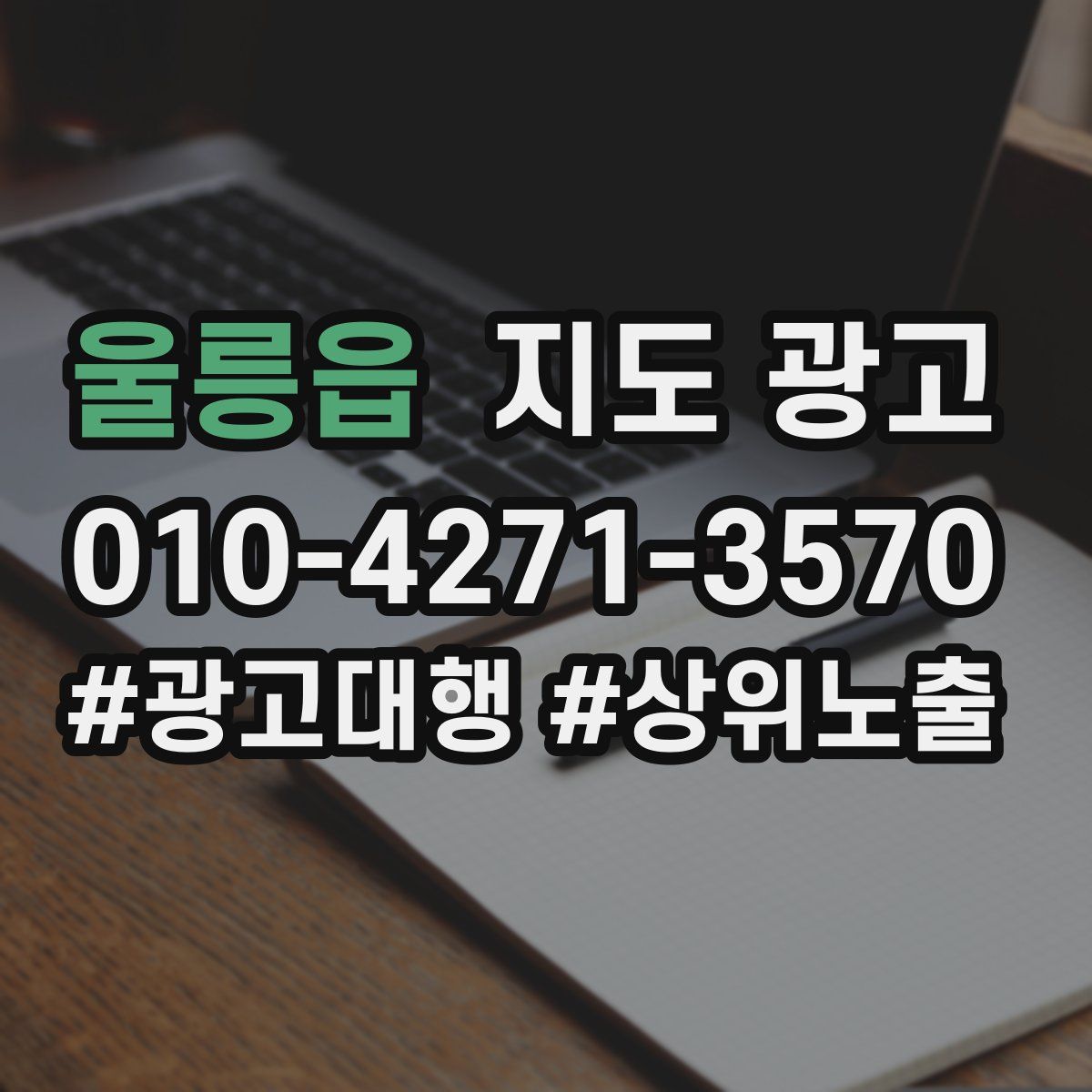 울릉읍 지도 광고