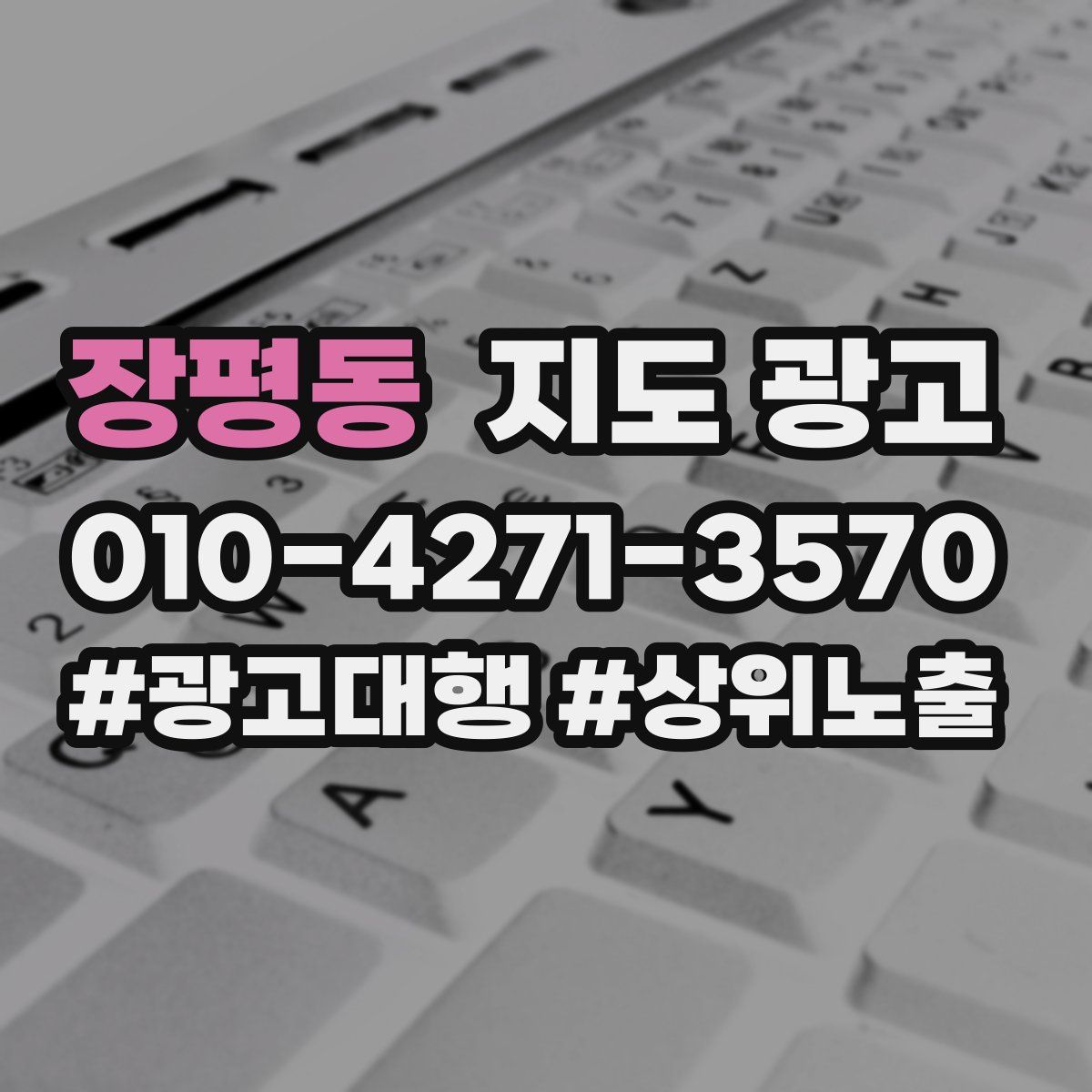 장평동 지도 광고