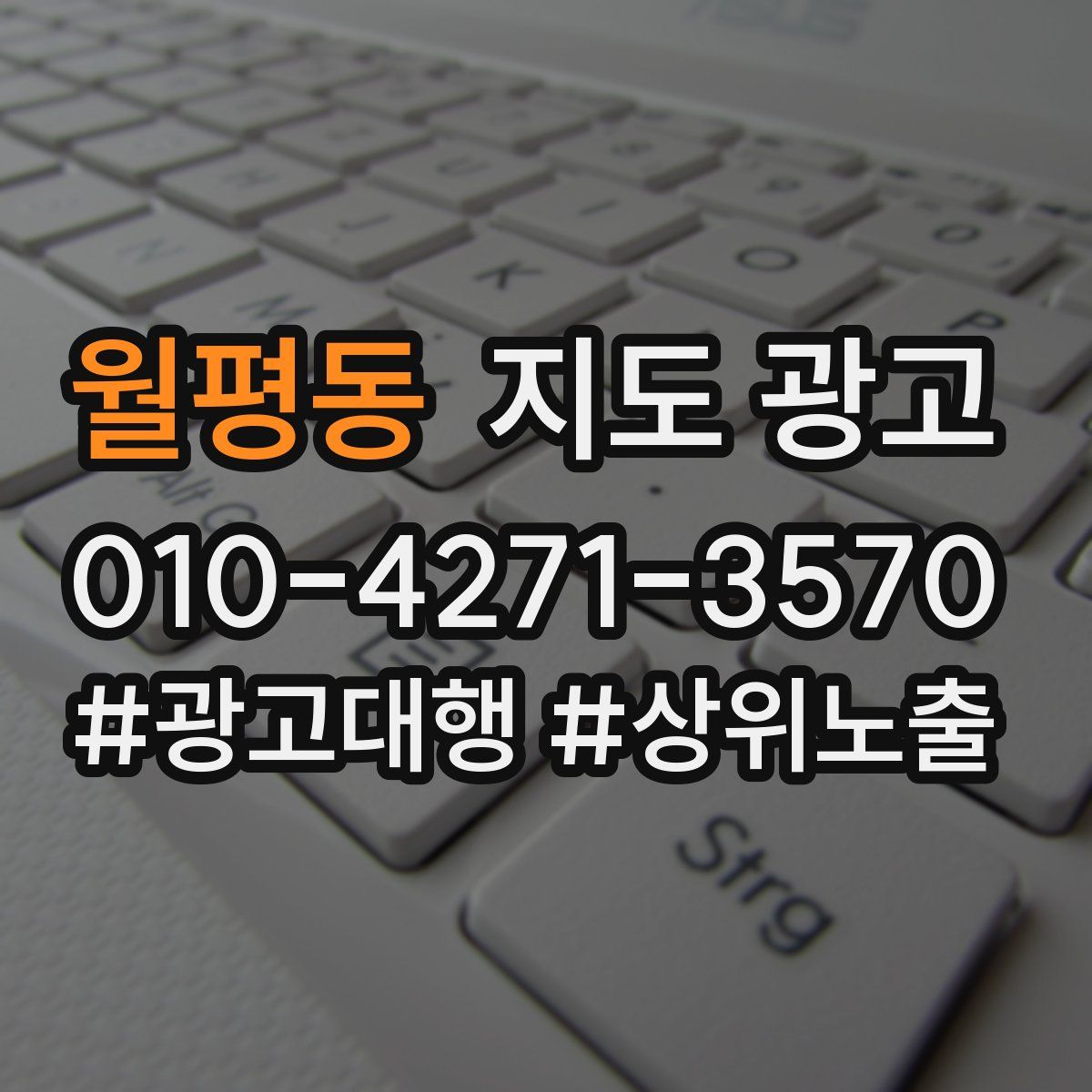 월평동 지도 광고
