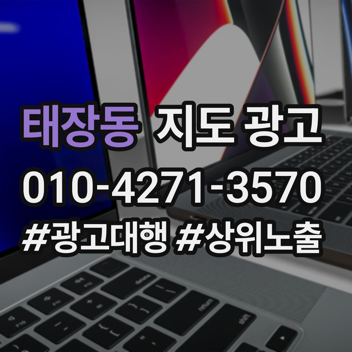 태장동 지도 광고