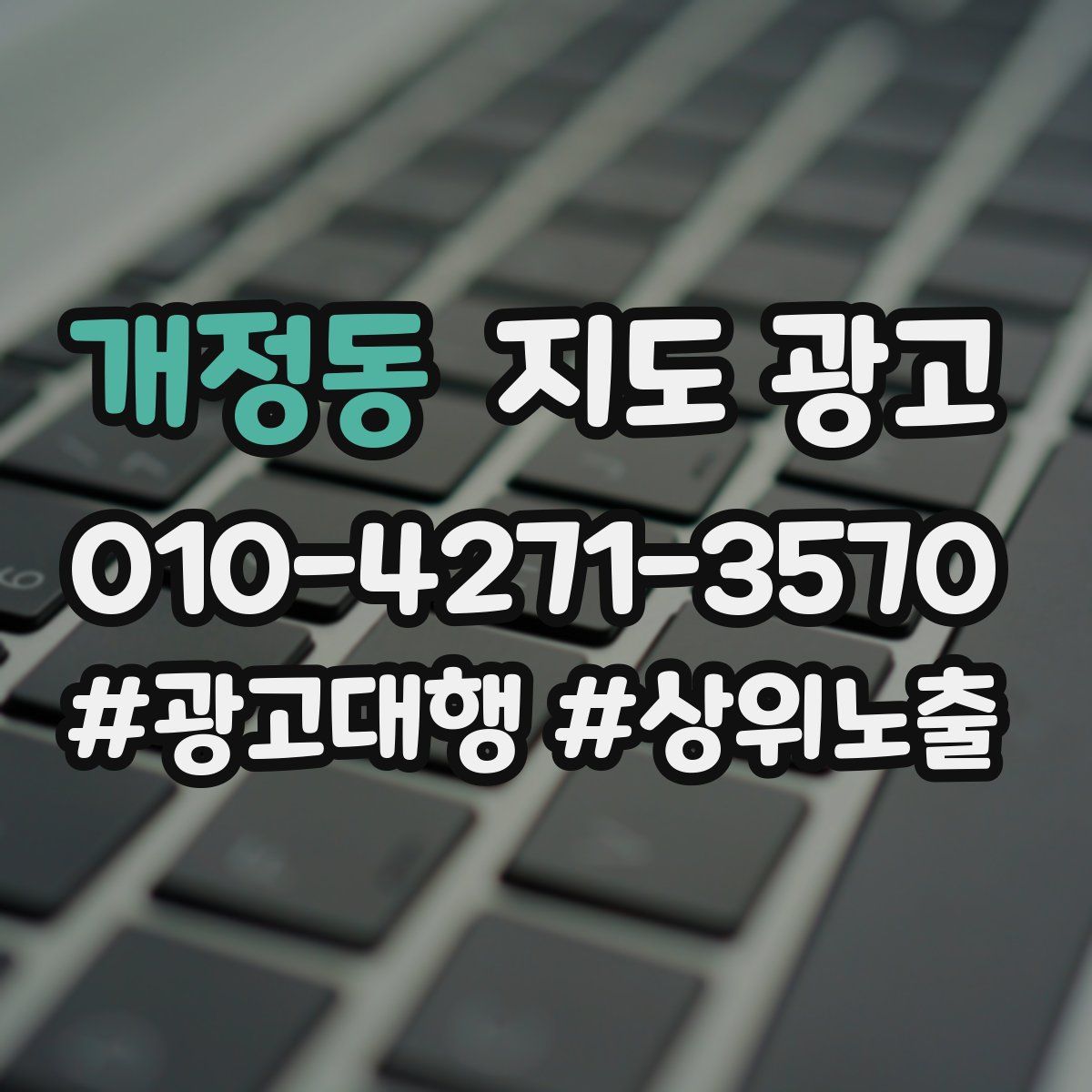 개정동 지도 광고