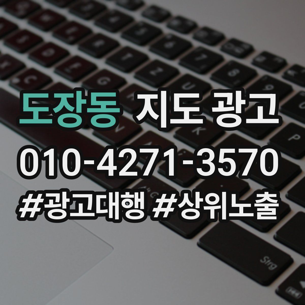 도장동 지도 광고