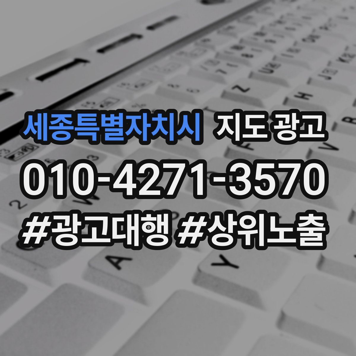 세종특별자치시 지도 광고