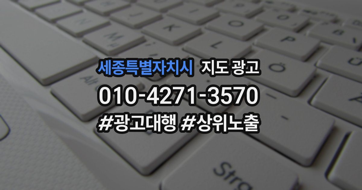 세종특별자치시 지도 광고