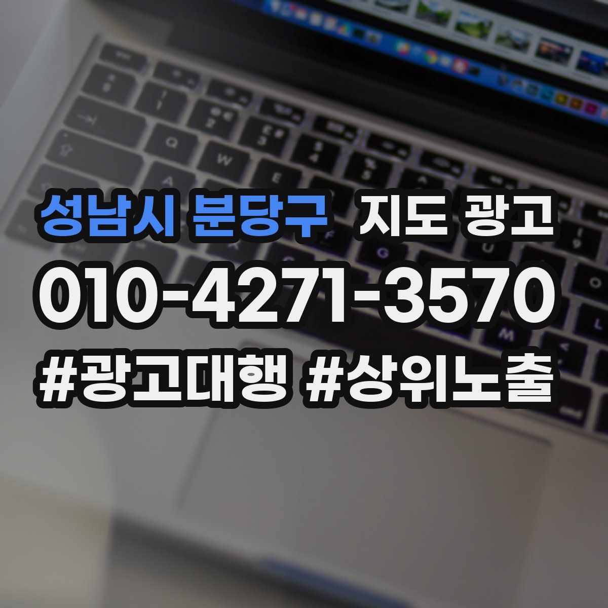 성남시 분당구 지도 광고