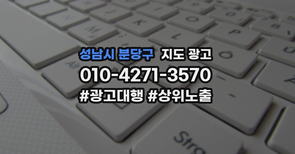 성남시 분당구 지도 광고