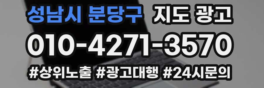 성남시 분당구 지도 광고