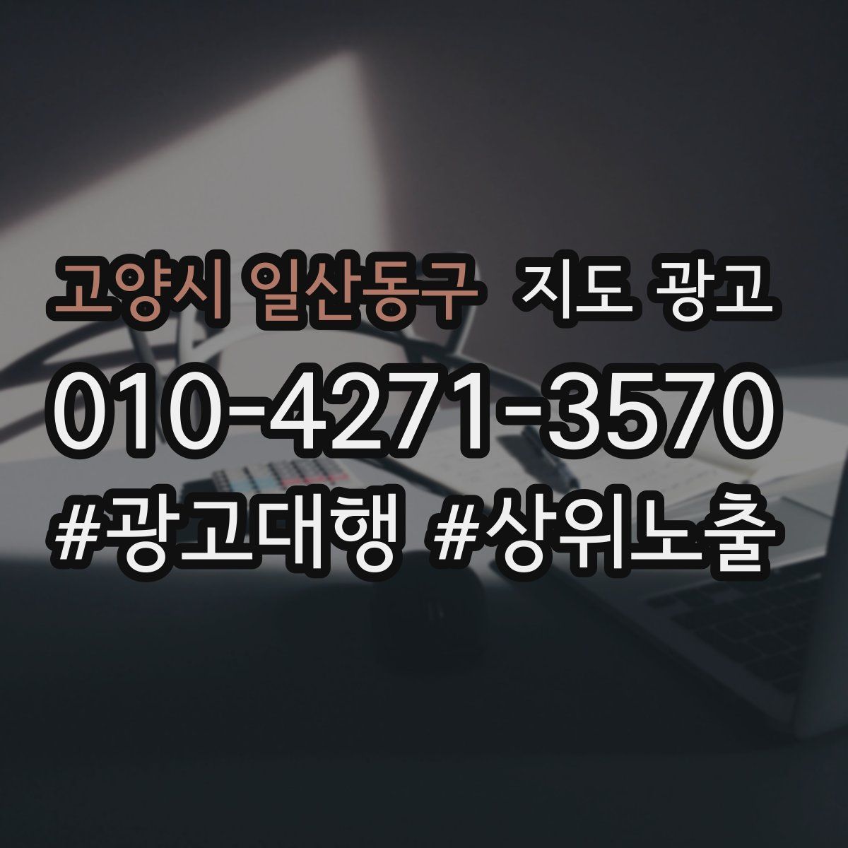 고양시 일산동구 지도 광고
