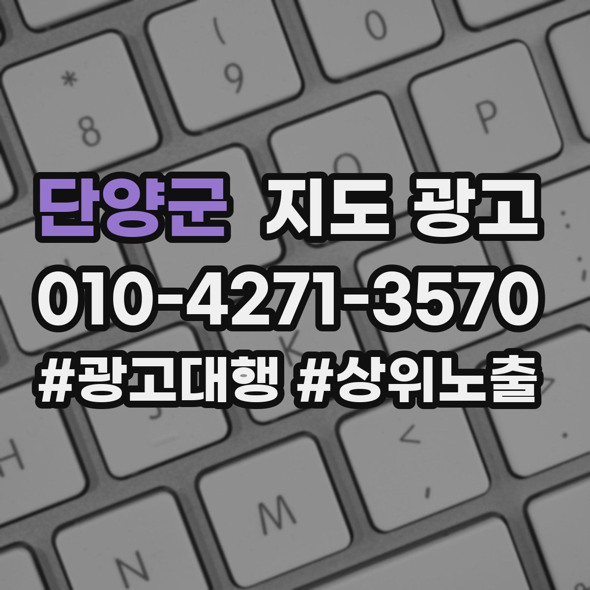 단양군 지도 광고