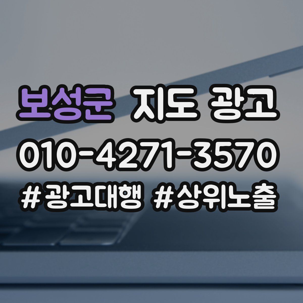 보성군 지도 광고