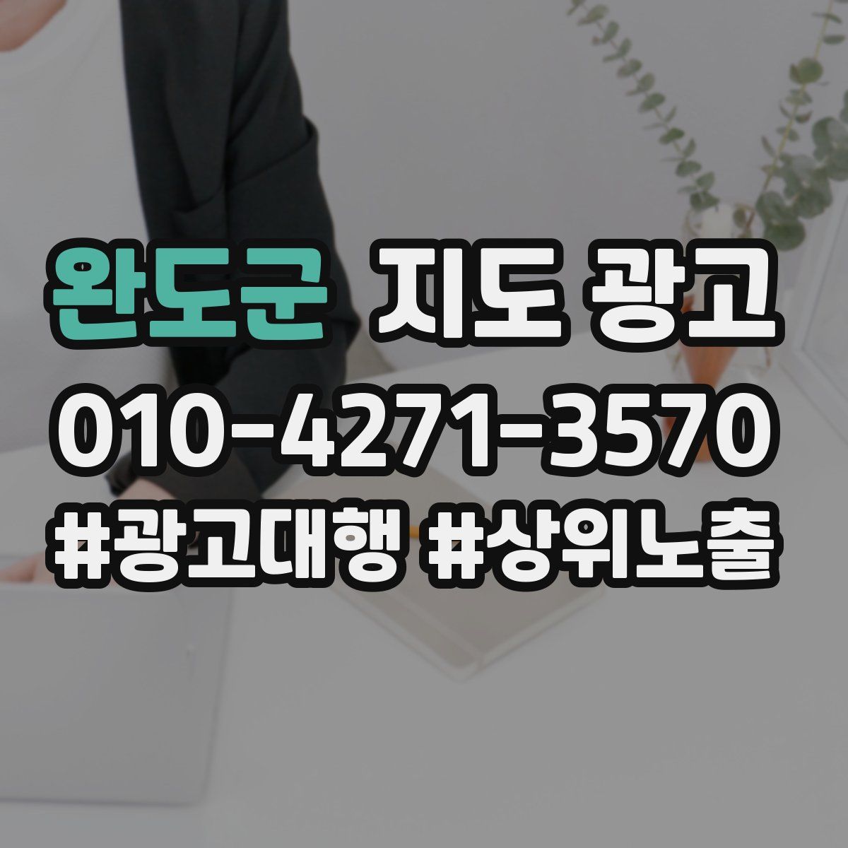 완도군 지도 광고
