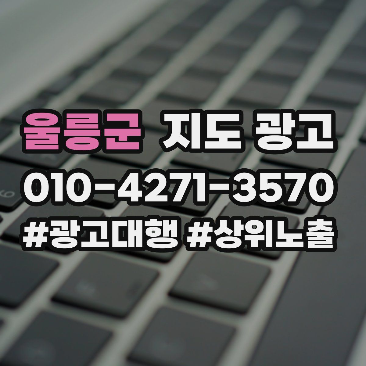 울릉군 지도 광고