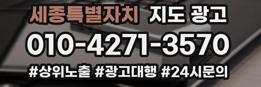 세종특별자치 지도 광고
