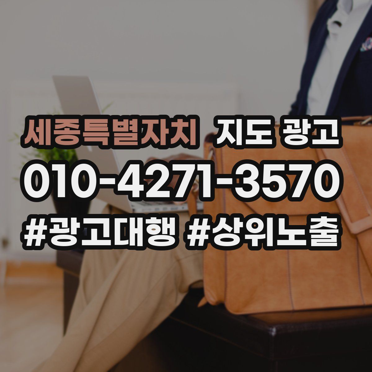 세종특별자치 지도 광고
