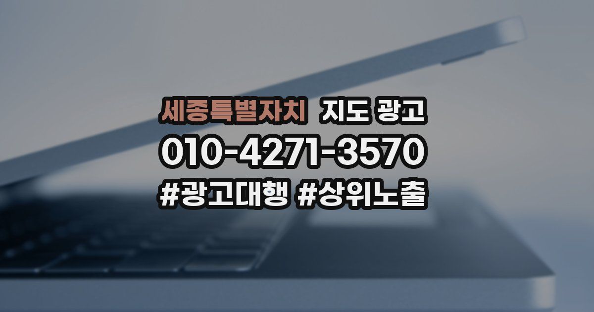 세종특별자치 지도 광고