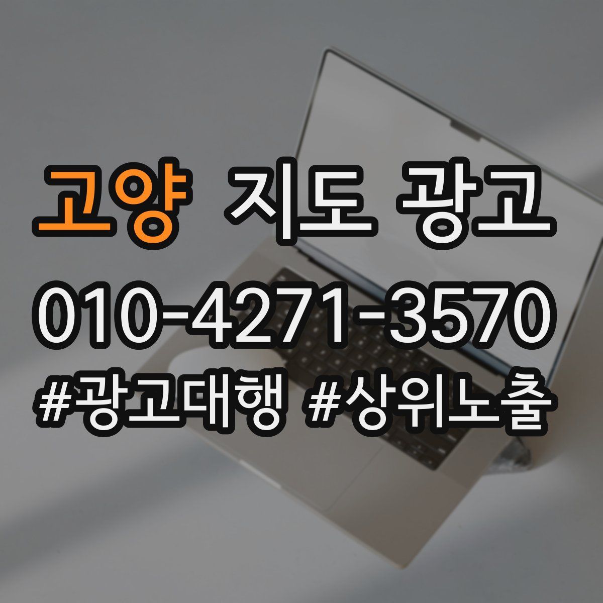 고양 지도 광고