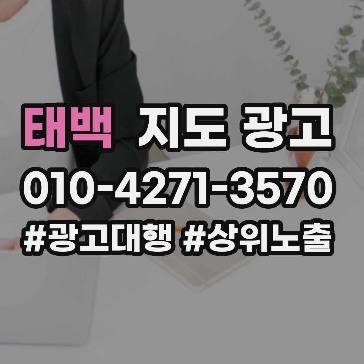 태백 지도 광고