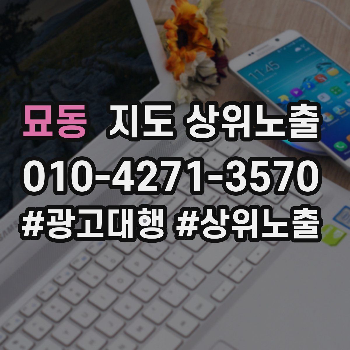 묘동 지도 상위 노출