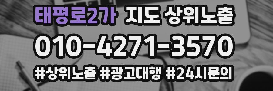 태평로2가 지도 상위 노출