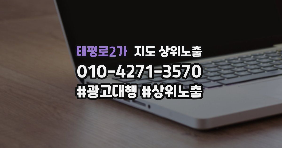 태평로2가 지도 상위 노출