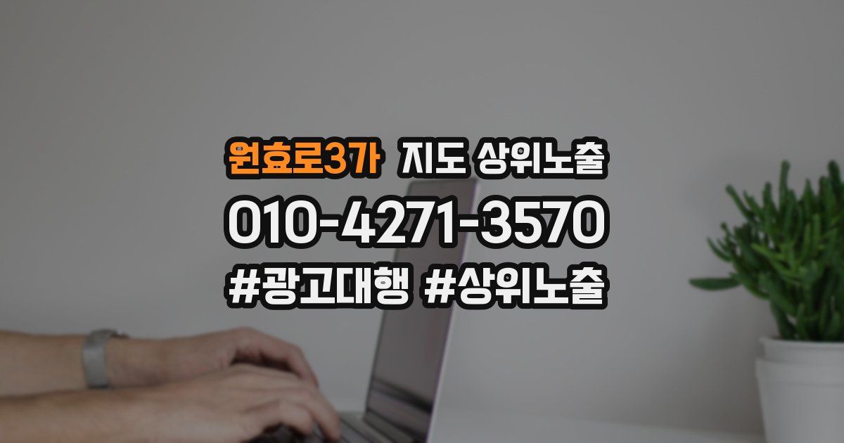 원효로3가 지도 상위 노출