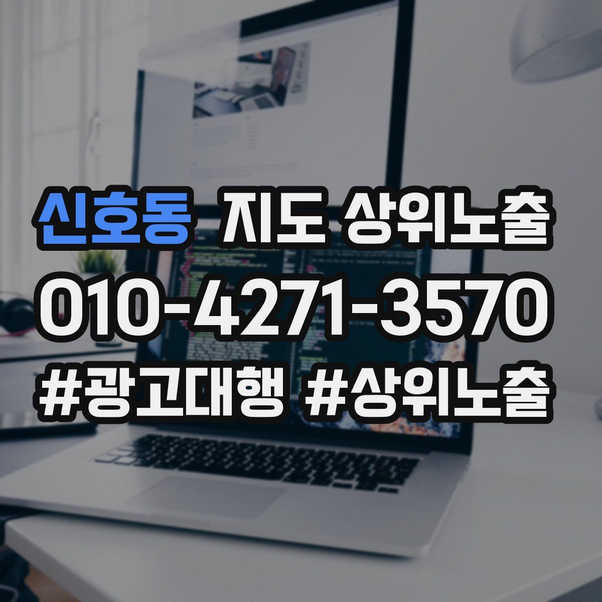 신호동 지도 상위 노출
