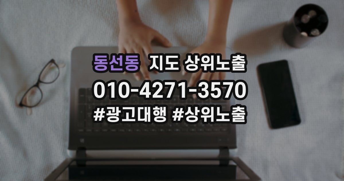 동선동 지도 상위 노출